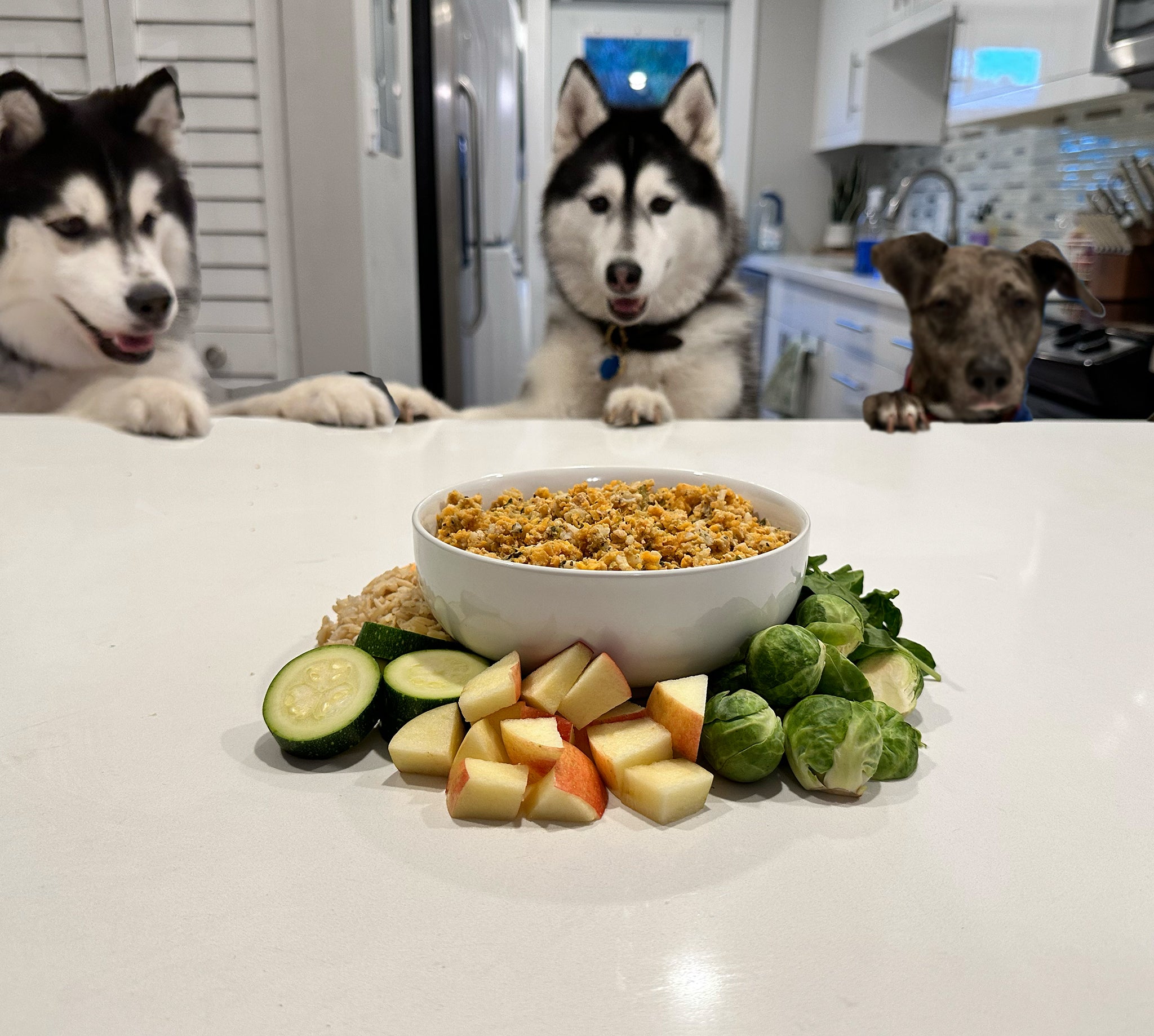 Full Meal Replacement (2 Week Supply)